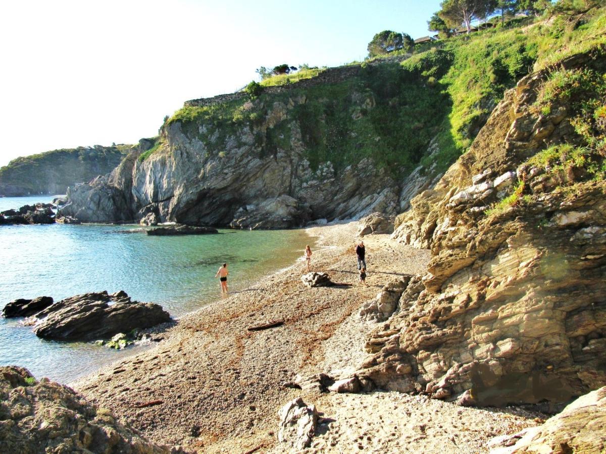 Studio Moderne Argeles Sur Mer.La Plage A Pieds, Espagne A 30Mn المظهر الخارجي الصورة